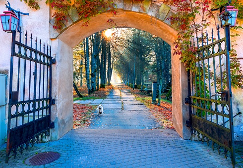 un beau chemin d'automne